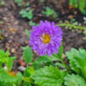 Meet your Posher, Kimberley